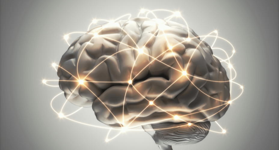 Neurociencia