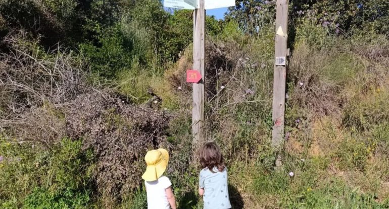 Comissió Excursionista